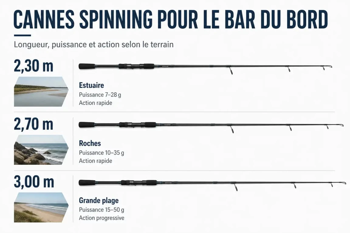 Comparatif de la meilleure canne pour le bar du bord selon la longueur, la puissance et le spot de pêche