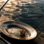 Pêcher le mulet au pain ou à la cuiller, montage avec hameçon et assiette