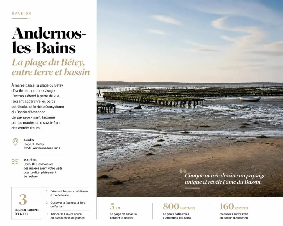 Plage du Bétey à Andernos-les-Bains à marée basse, idéale pour la pêche à pied